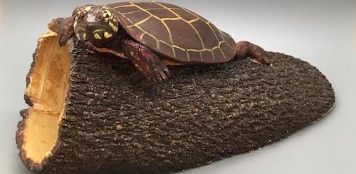 Littleton Fine Craft Gallery