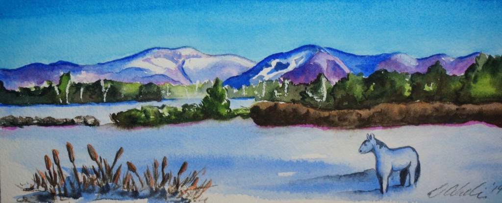 Littleton Fine Craft Gallery